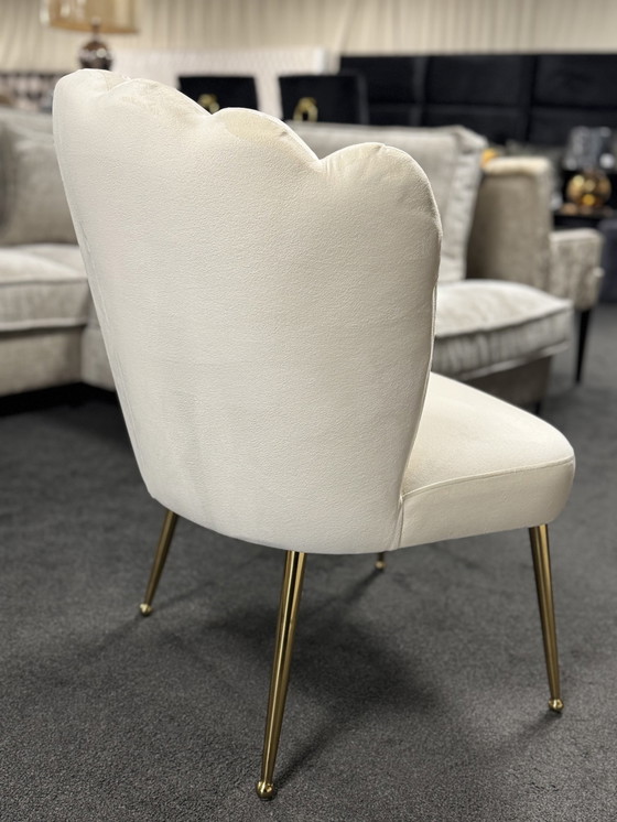 Image 1 of 4X Bologne (Atreve)