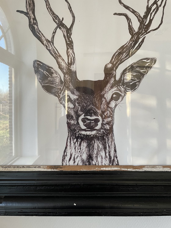 Image 1 of Poster Cerf