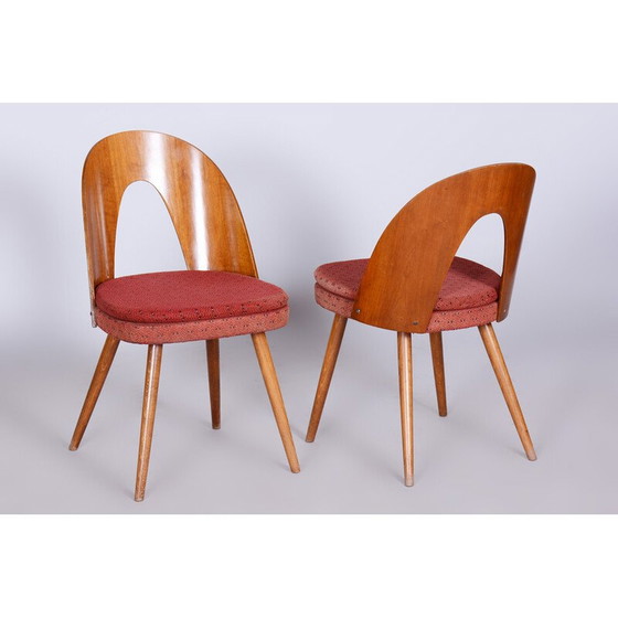 Image 1 of Paire de chaises vintage en hêtre, noyer et tissu par Antonín Šuman, République tchèque 1950