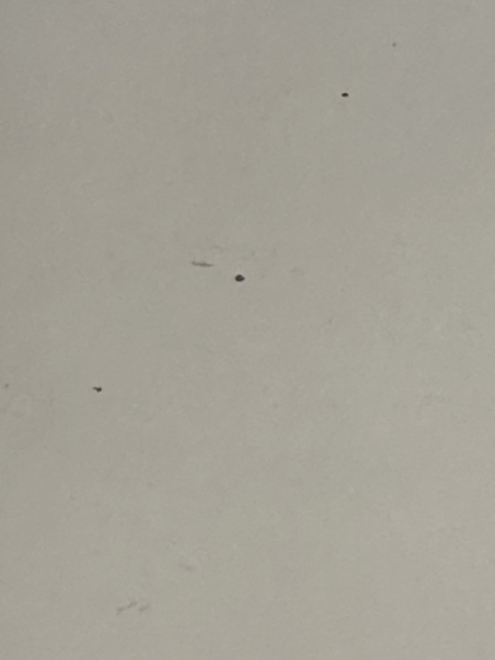 Image 1 of Miroir Corde Design Années 60 