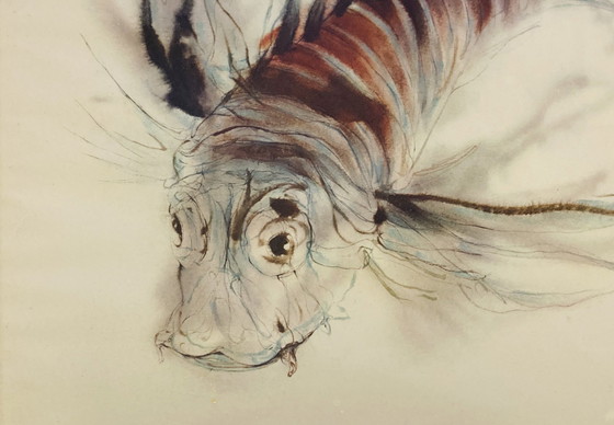 Image 1 of Klaus Meyer-Gasters - Aquarelle Vintage Poisson - Avec Cadre