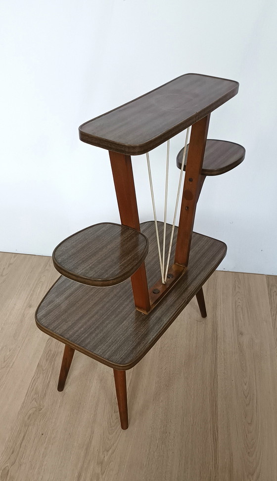 Image 1 of Table à plantes des années 50 avec 4 étagères