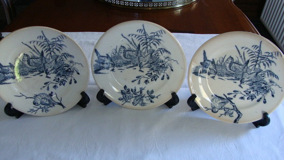 Image 1 of 8x Panneaux vintage avec oiseaux