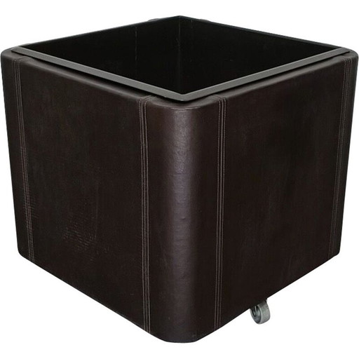 Jardinière vintage en cuir série Ds47 par De Sede