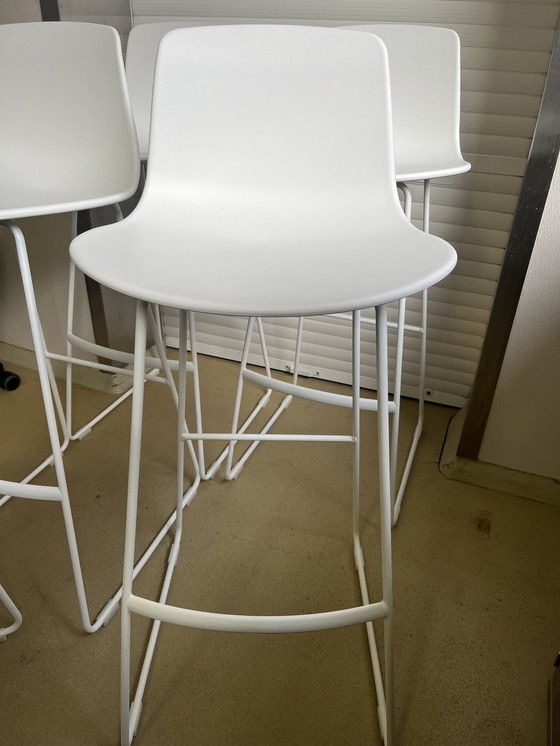 Image 1 of Enea Lottus