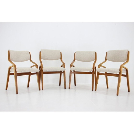 Image 1 of Ensemble de 4 chaises vintage en bois courbé et tissu bouclé par Ludvík Volák pour Dřevopodnik Holešov, Tchécoslovaquie 1970