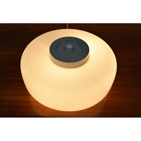 Image 1 of Plafonnier du milieu du siècle par Josef Hurka pour Napako, Tchécoslovaquie, années 1970