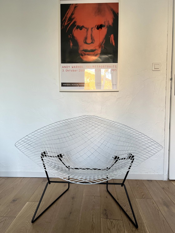 Image 1 of Bertoia Large Diamond Knoll Herman Miller