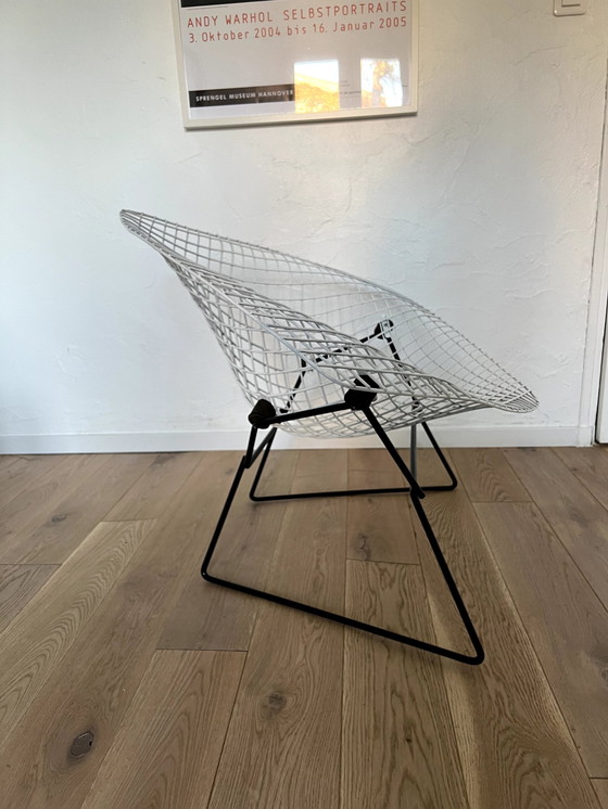 Image 1 of Bertoia Large Diamond Knoll Herman Miller