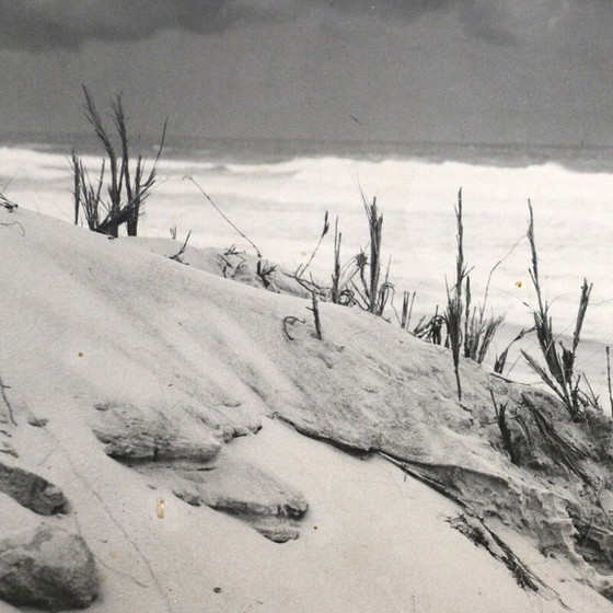 Image 1 of Peinture vintage en noir et blanc représentant les dunes et l'océan, France 1960
