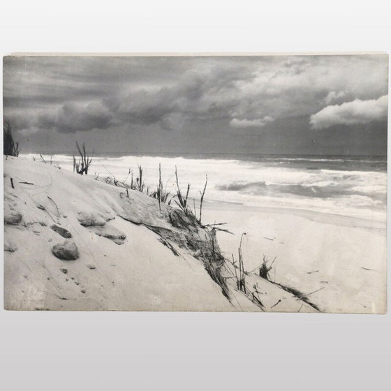 Image 1 of Peinture vintage en noir et blanc représentant les dunes et l'océan, France 1960