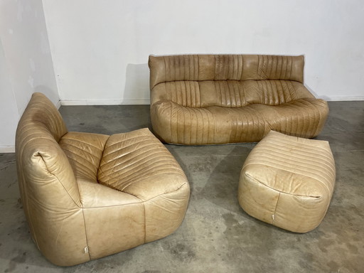 Ligne Roset Modèle Aralia Pour Michel Ducaroy canapé