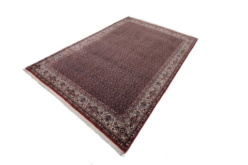 Tapis persan original noué à la main Bidjar Takab Très fin Noué 290 X 205 cm Top condition