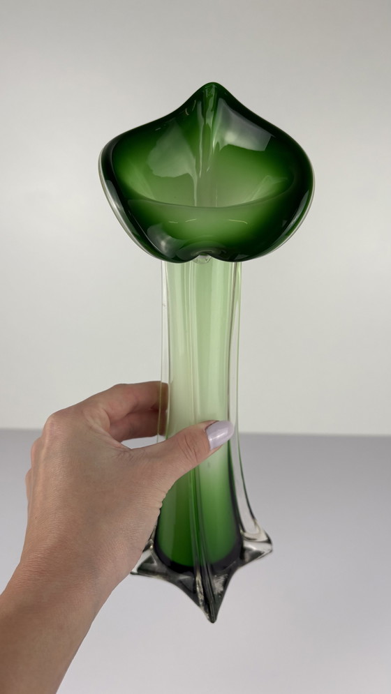 Image 1 of 3 Vases Murano Vintage Jack In The Pulpit Calla Lily