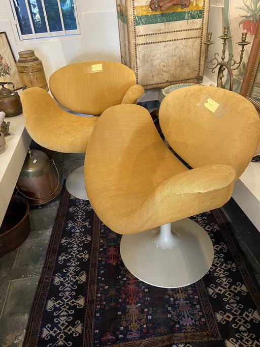 Ensemble de 4 chaises 1950s/60s du 20ème siècle