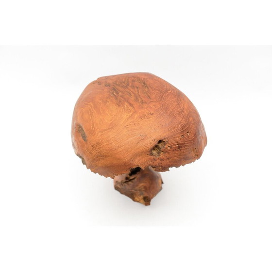 Image 1 of Champignon moderne vintage, 1960