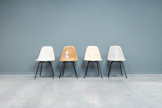 Image 1 of Chaises Eames Dsx, 4X