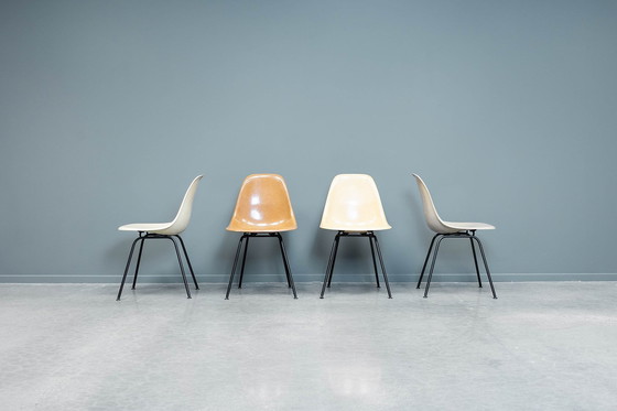 Image 1 of Chaises Eames Dsx, 4X