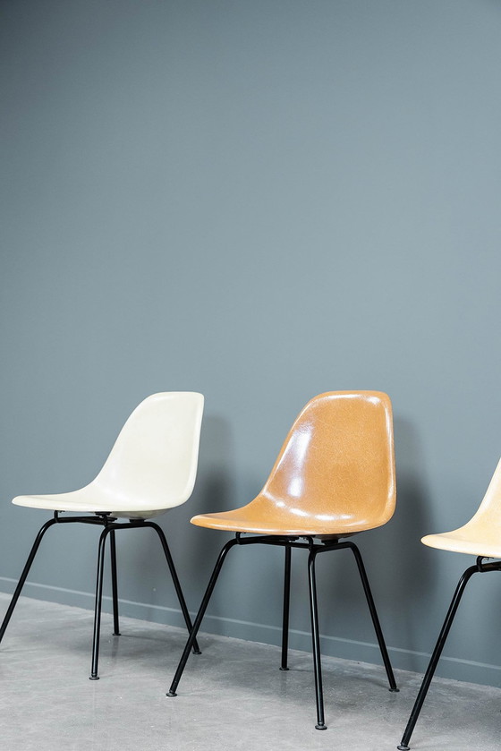 Image 1 of Chaises Eames Dsx, 4X