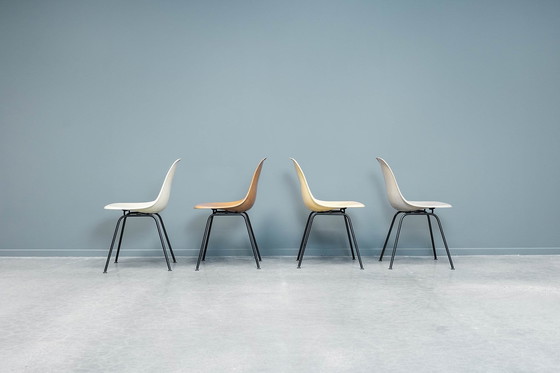 Image 1 of Chaises Eames Dsx, 4X