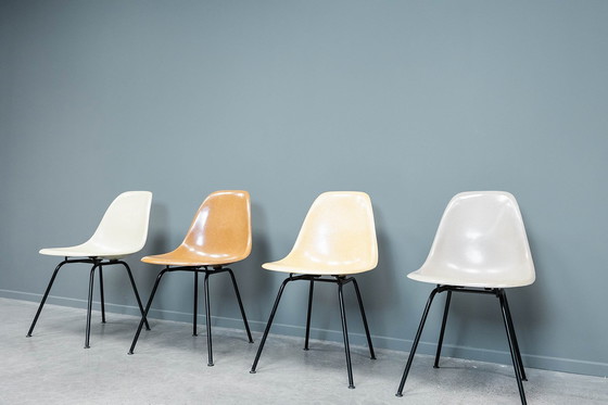 Image 1 of Chaises Eames Dsx, 4X