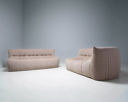 2X Canapé Aralia par Michel Ducaroy pour Ligne Roset