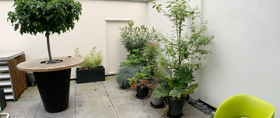 Image 1 of Mega Flower Box Table With 2 Pedrali Stools.