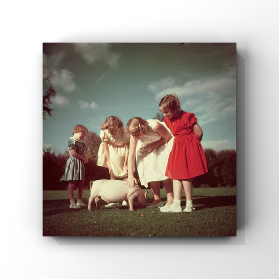 Image 1 of 1X 3 princesses et un porcelet, 1952 | Paul Huf