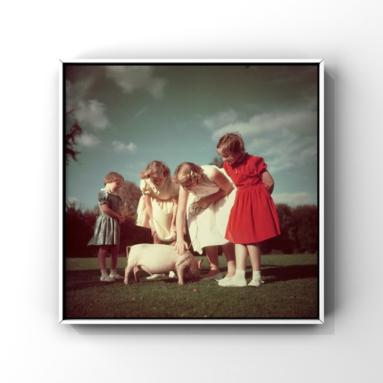 Image 1 of 1X 3 princesses et un porcelet, 1952 | Paul Huf