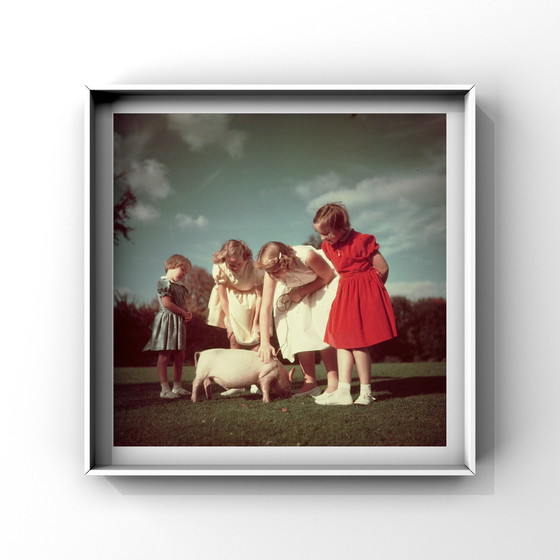 Image 1 of 1X 3 princesses et un porcelet, 1952 | Paul Huf