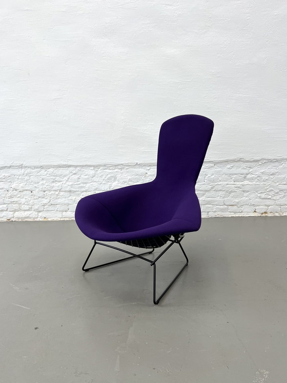 Image 1 of Knoll International Bird Chair Harry Bertoia