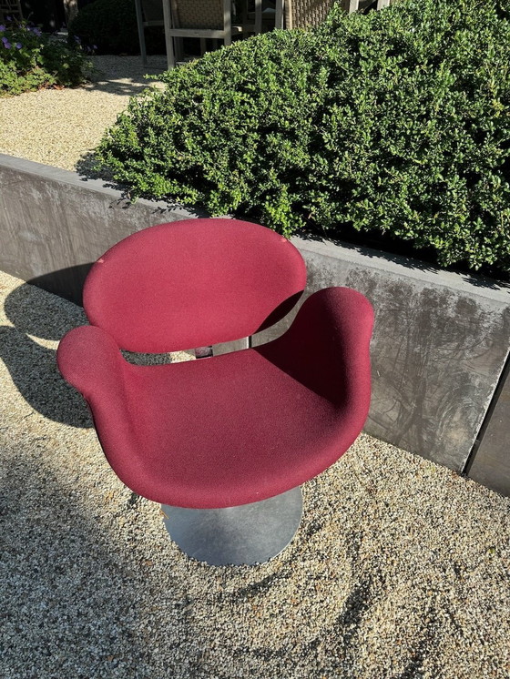 Image 1 of Artifort Little Tulip Swivel Chair