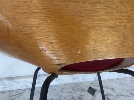 Image 1 of Paire De Chaises Tonneau Par Pierre Guariche Pour Steiner, Années 50.