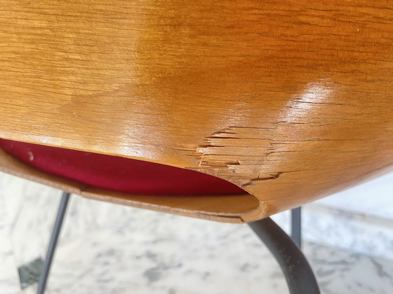 Image 1 of Paire De Chaises Tonneau Par Pierre Guariche Pour Steiner, Années 50.