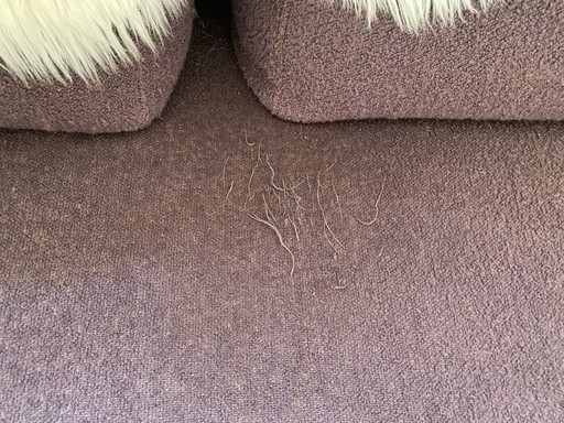 Fixer-Upper: 2 Design-Sofas Rolf Benz