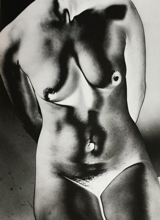 Image 1 of Steef Zoetmulder – Torso