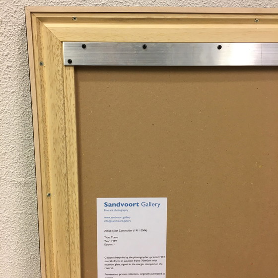 Image 1 of Steef Zoetmulder – Torso