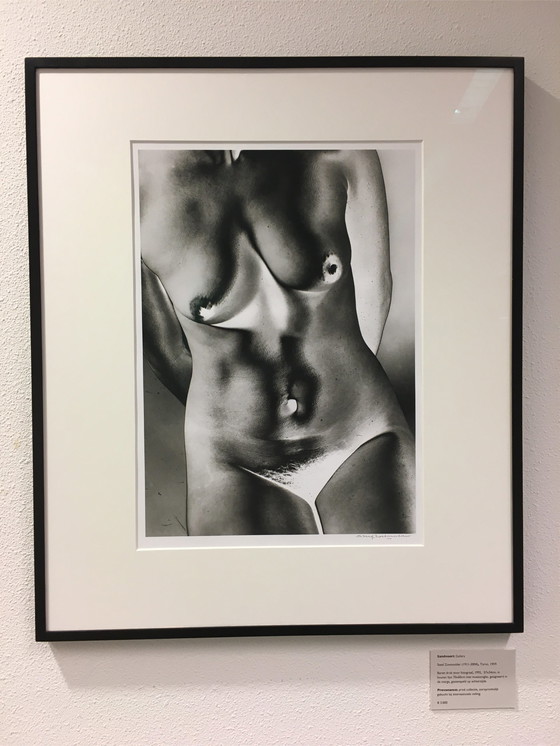 Image 1 of Steef Zoetmulder – Torso