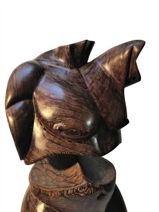 Image 1 of Torso-Mann