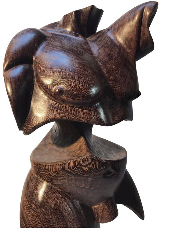 Image 1 of Torso-Mann