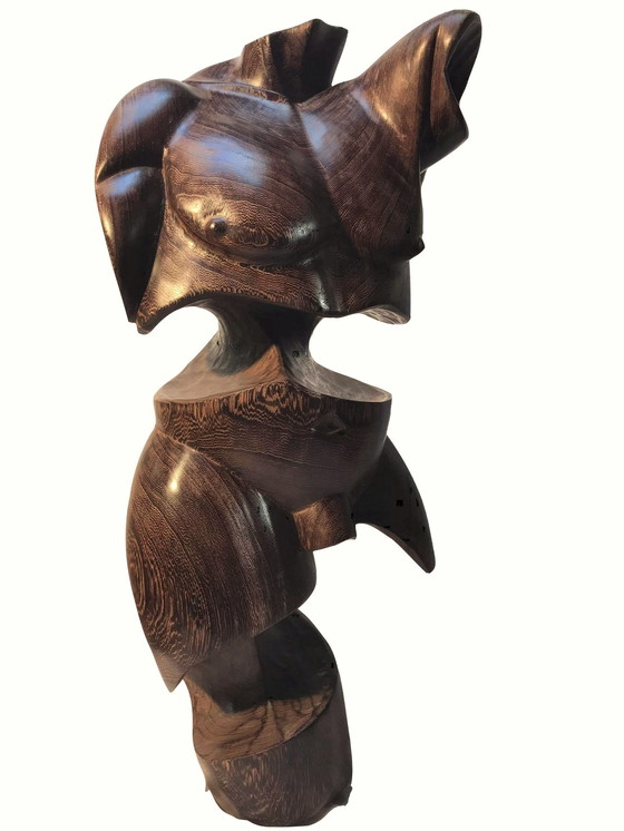 Image 1 of Torso-Mann