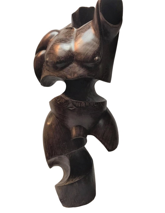 Image 1 of Torso-Mann