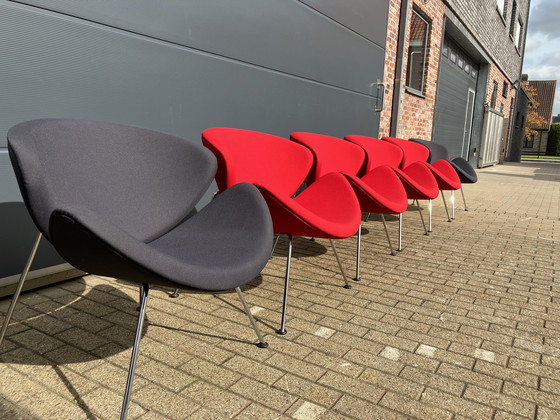 Image 1 of 6x Artifort Orangenscheibe Pierre Paulin