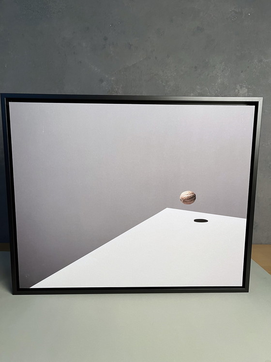 Image 1 of Jeroen Luijt - Muskatnuss