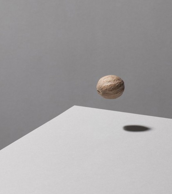 Image 1 of Jeroen Luijt - Muskatnuss