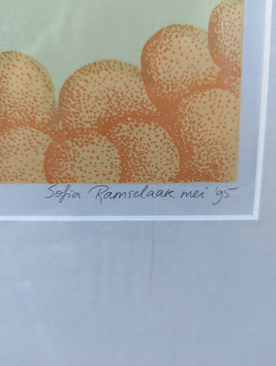 Image 1 of Sofia Ramselaar - Auf der Suche