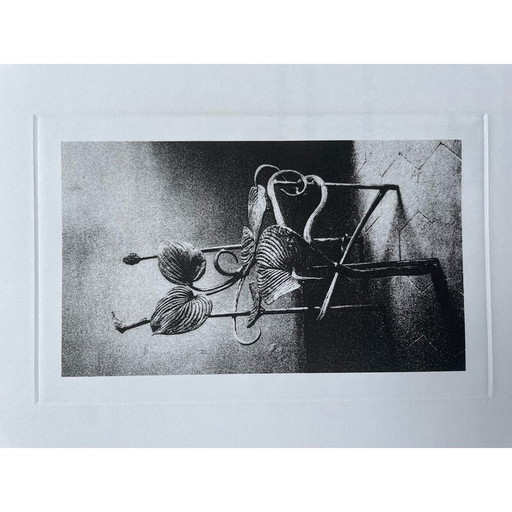 Vintage-Druck, der einen Horta-Stuhl von Claude Lalanne darstellt