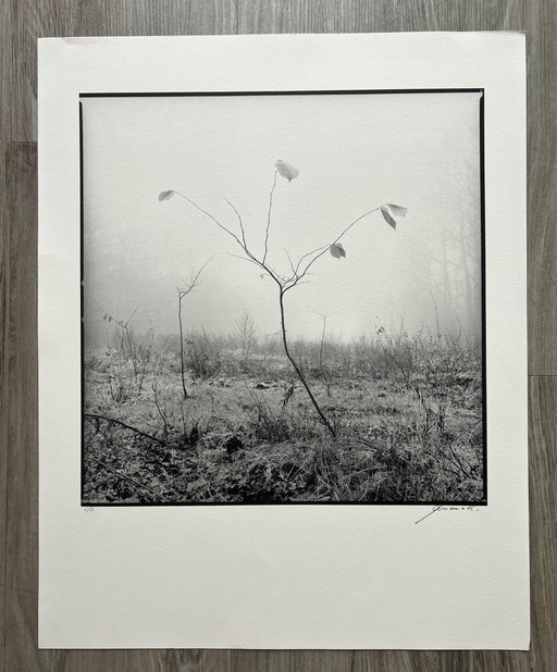 Siebdruck / Fotografie Ralf Janowski