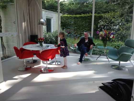 Image 1 of 4x Artifort Tulip Stühle