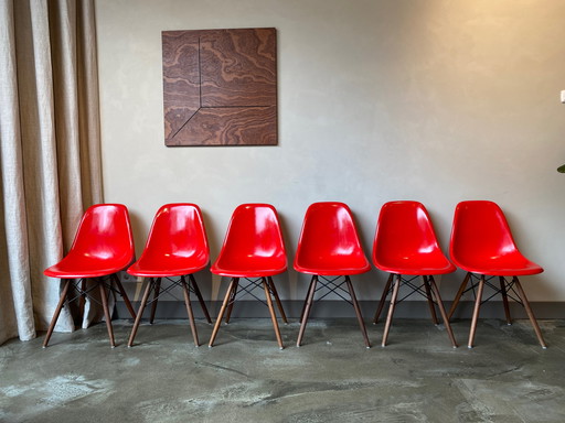 6x Eames/ Vitra Fiberglass DSW Stuhl